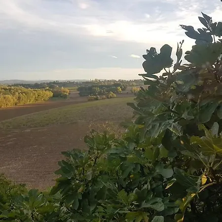 Dans Un Chateau Feodal Au Coeur De La Toscane Occitane Albi-cordes-rabastens
